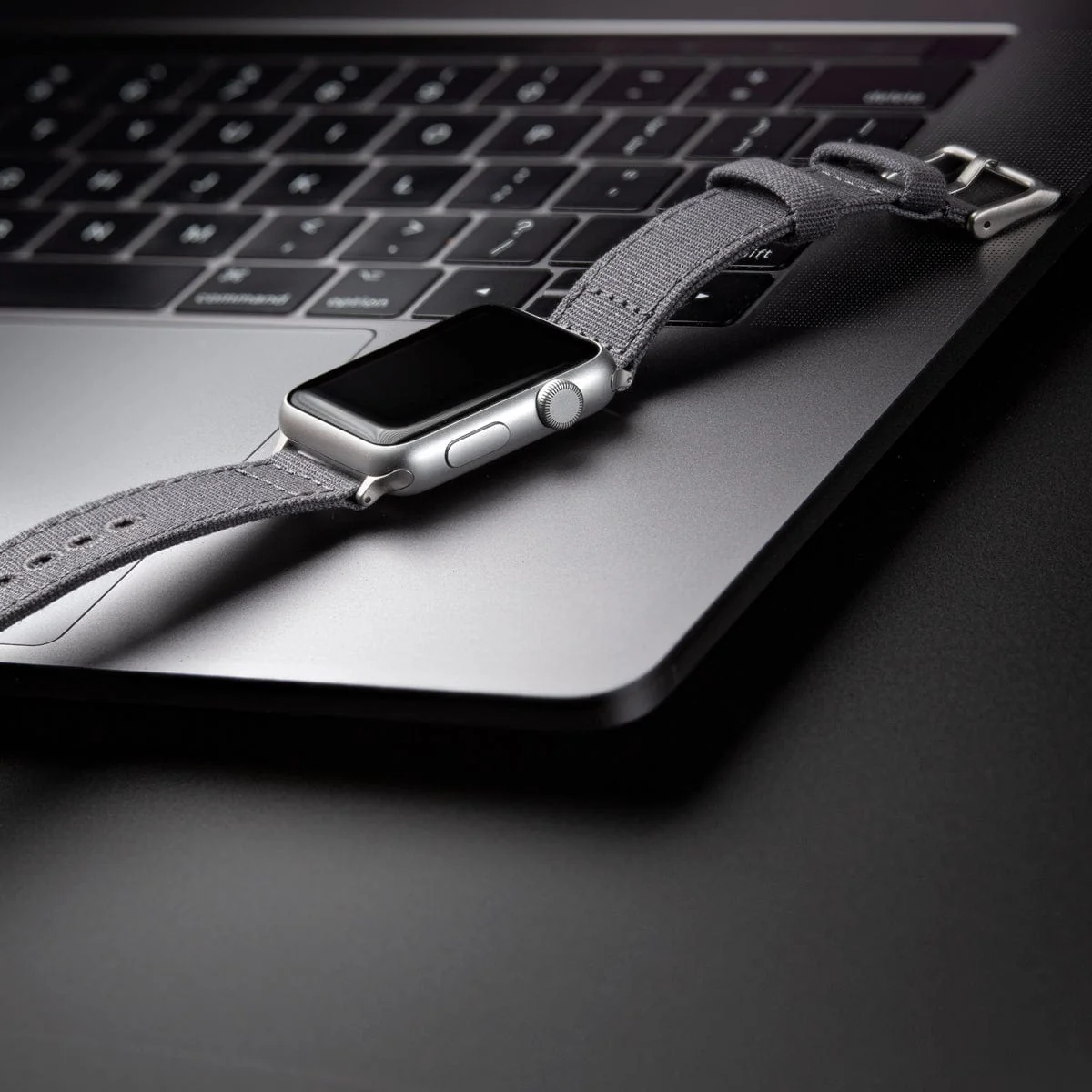 Apple Watch Canvas Watch Band - Slate Gray/Silver Aluminum - Image 3